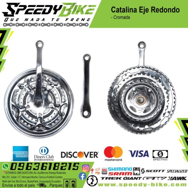 Catalina Eje Redondo